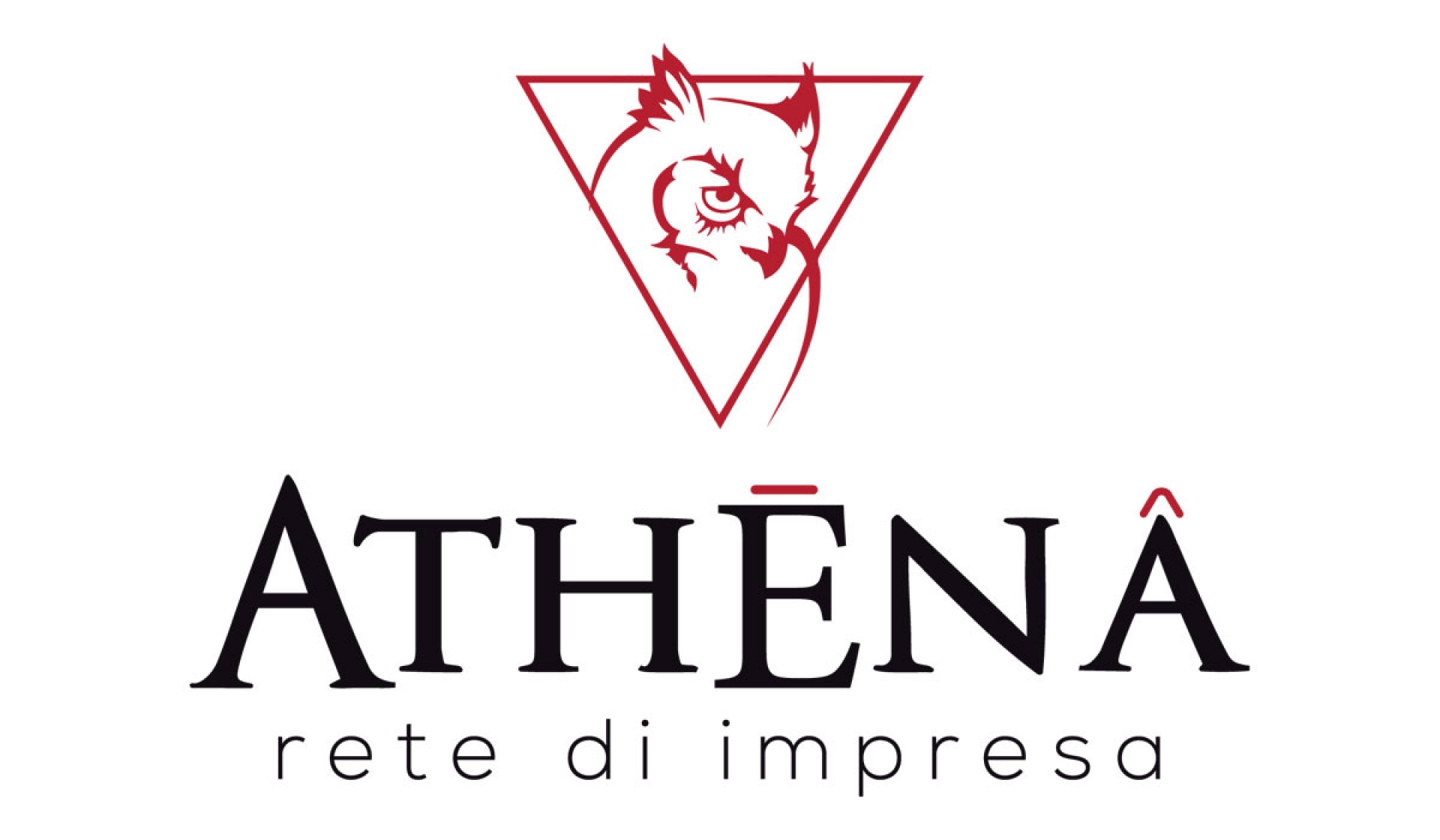Quando il gufo si presenta nella tua vita, fai attenzione ai venti del cambiamento